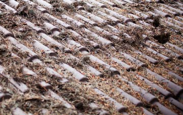 Fachell roof cleaning companies